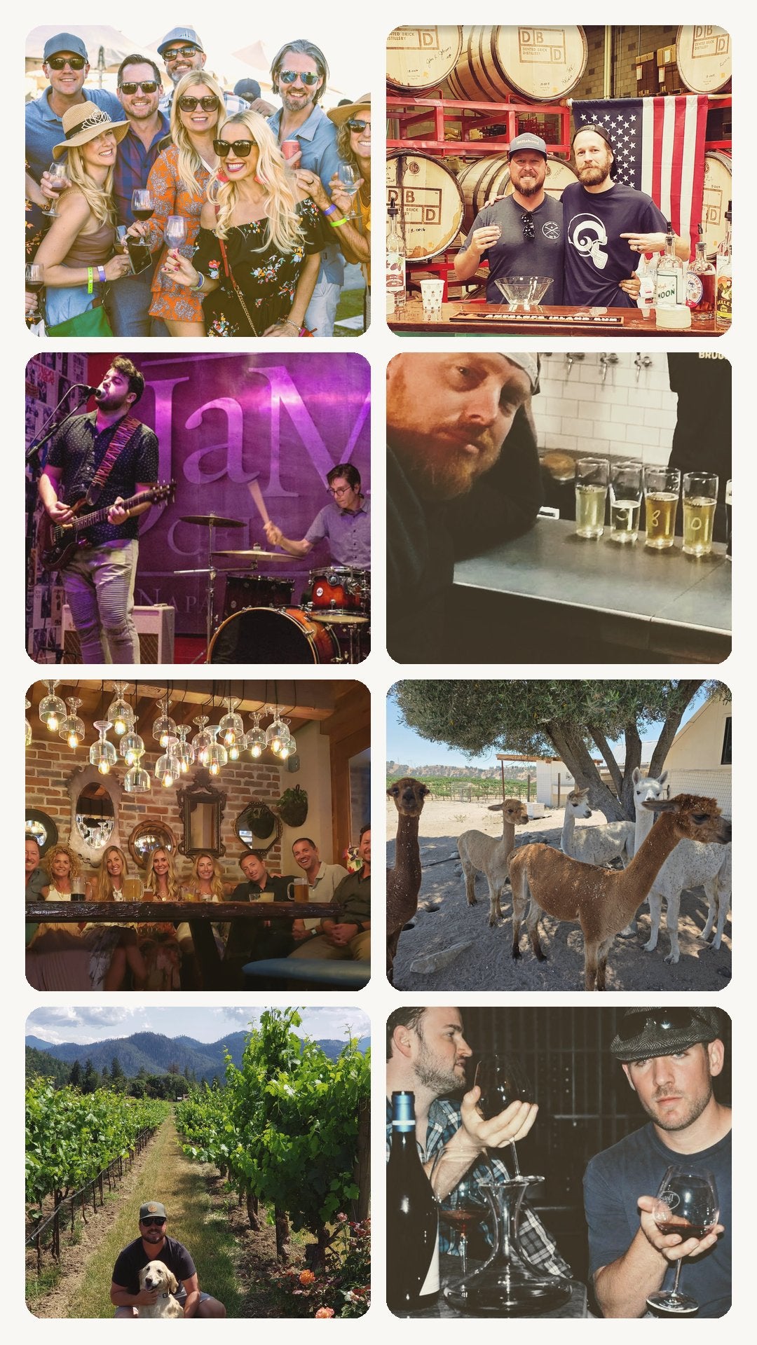 Sip West experiences collage—friends toasting at tasting event, live music, distillery barrels, beer tasting, wine tasting, alpacas, and a dog-friendly vineyard tasting